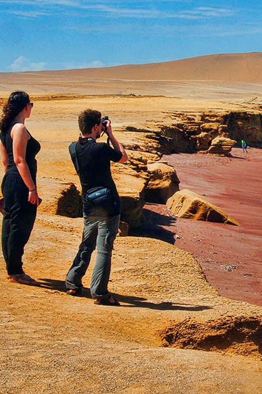 PARACAS|| Sunset trekking in the Paracas National Reserve - Pace, guides, and why 3 hours is a sweet spot