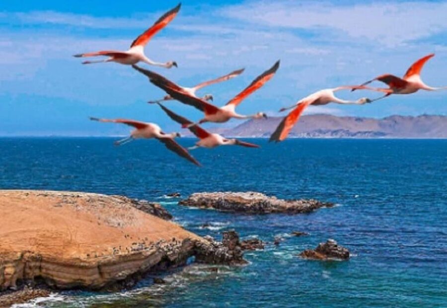 PARACAS|| Sunset trekking in the Paracas National Reserve - Who this tour suits best (and who should consider something else)