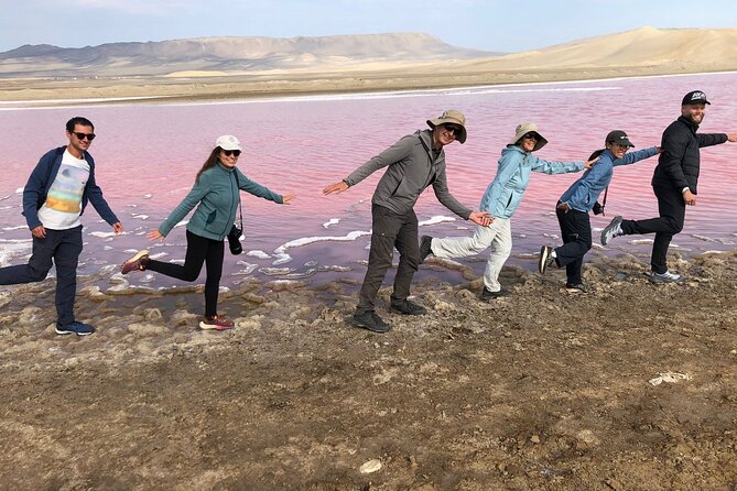 Premium Trekking Golden Shades - Golden Shades in Paracas National Reserve: a practical way to see the highlights