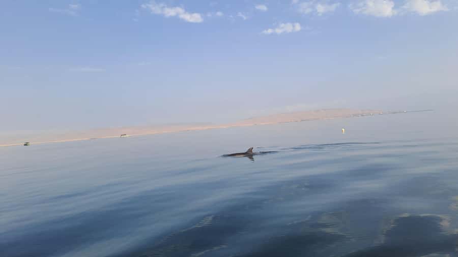 Private Tour: Ballestas Island & Huacachina Oasis, from Lima - Comfort tips that make the day smoother (especially in the morning-to-desert swing)