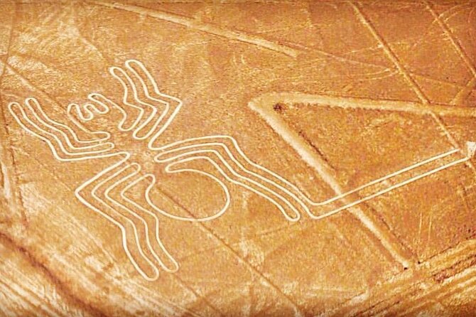 Private Tour to the Astonished Nazca Lines and Huacachina Oasis - Nazca Lines overflight: seeing the hummingbird, spider, and more