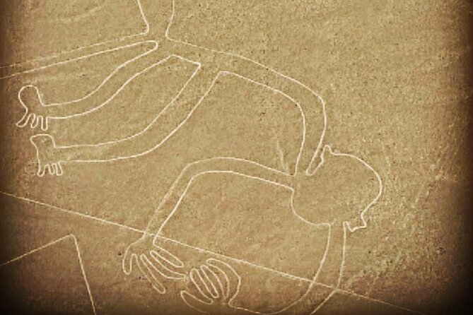Private Tour to the Astonished Nazca Lines and Huacachina Oasis - Should you book this Nazca Lines and Huacachina combo?