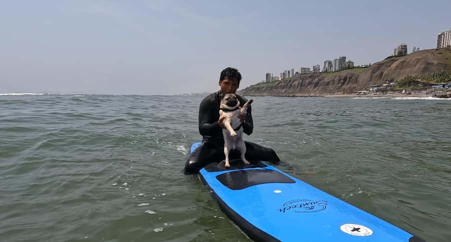Surfing experience in Lima - Miraflores Beach Drop-Off: Easy Start at Anka Surf School