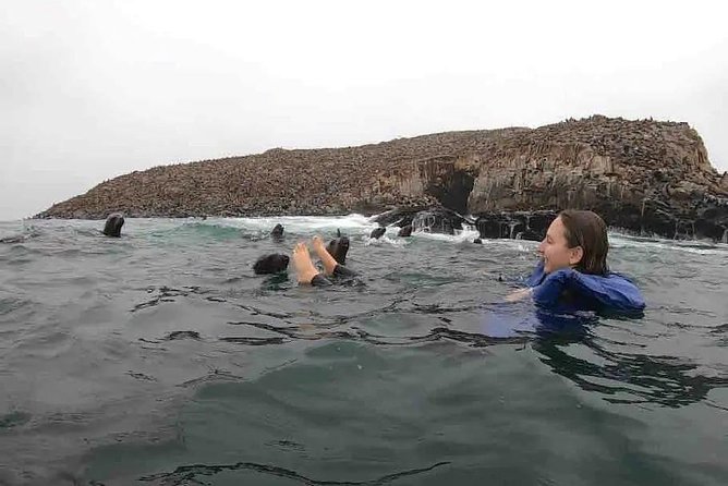 Swimming with Sea Lions in Lima - The Cruise Route: Dolphins Aren’t the Only Stars Here
