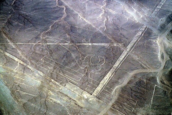 The Nazca Lines & Huacachina Oasis from Lima - Private Trip - Huacachina Oasis: dune buggy and sandboarding with real desert energy