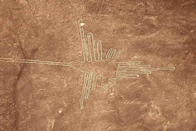 The Nazca Lines & Huacachina Oasis from Lima - Private Trip - Transportation and guide style: why the people matter here