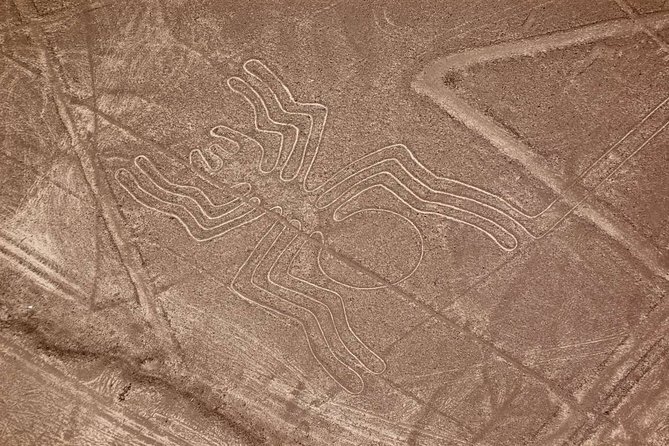 The Nazca Lines & Huacachina Oasis from Lima - Private Trip - Who should book this Nazca and Huacachina day trip