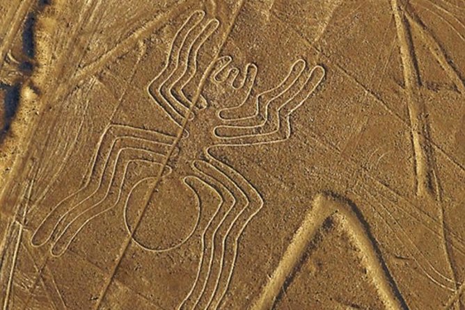 The Nazca Lines & Huacachina Oasis from Lima - Private Trip - Should you book it: my practical recommendation