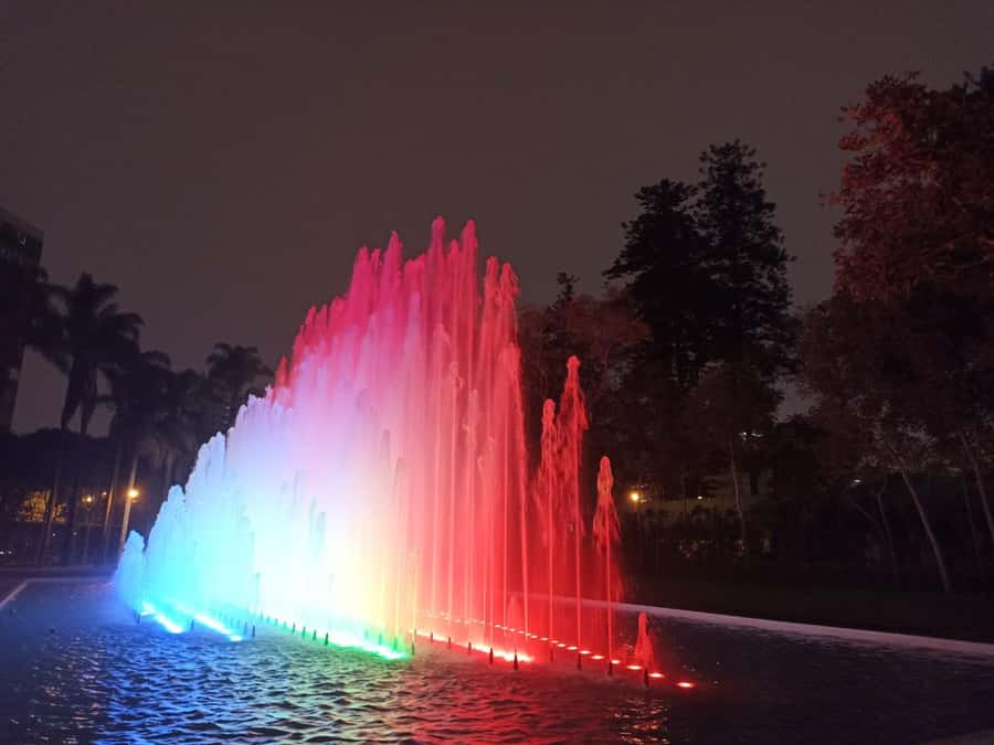Tour to the magical water circuit with dinner and dance show - Magical Water Park: the fountain show you came for