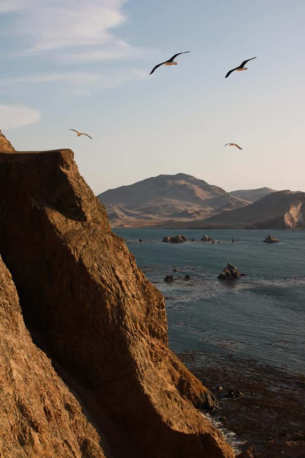 TREKKING GOLDEN SHADOWS - Flora, Fauna, and the Relaxed Pace That Still Feels Like Real Hiking