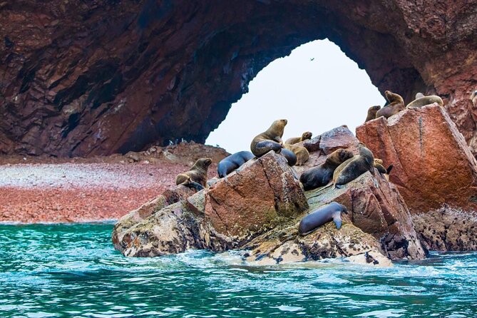 Ultimate Comfort: Lima to Huacachina, Ballestas and Vineyard - Key highlights worth your time