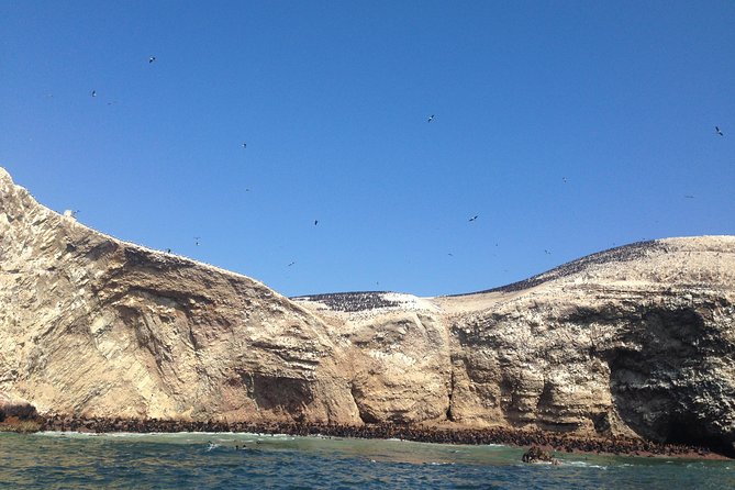 Ultimate Comfort: Lima to Huacachina, Ballestas and Vineyard - Sand buggies and sandboarding: big fun with real bumps