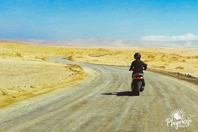 Visit the Paracas National Reserve on a SCOOTER - Time management: choose 1 hour or stretch to 10